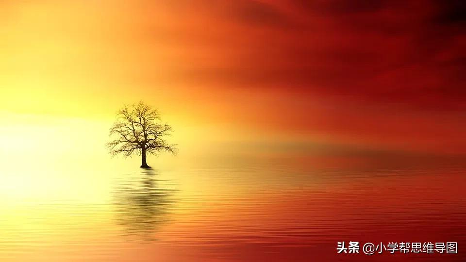 优秀作文小实验300个字,化解矛盾优秀作文