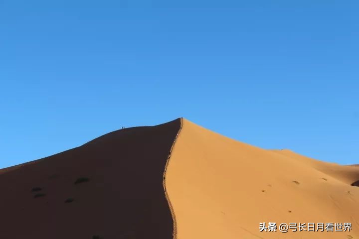 那又怎样,先干了这杯酒