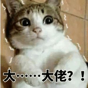 英语考试鄙视部分,英语考试鄙视链图片