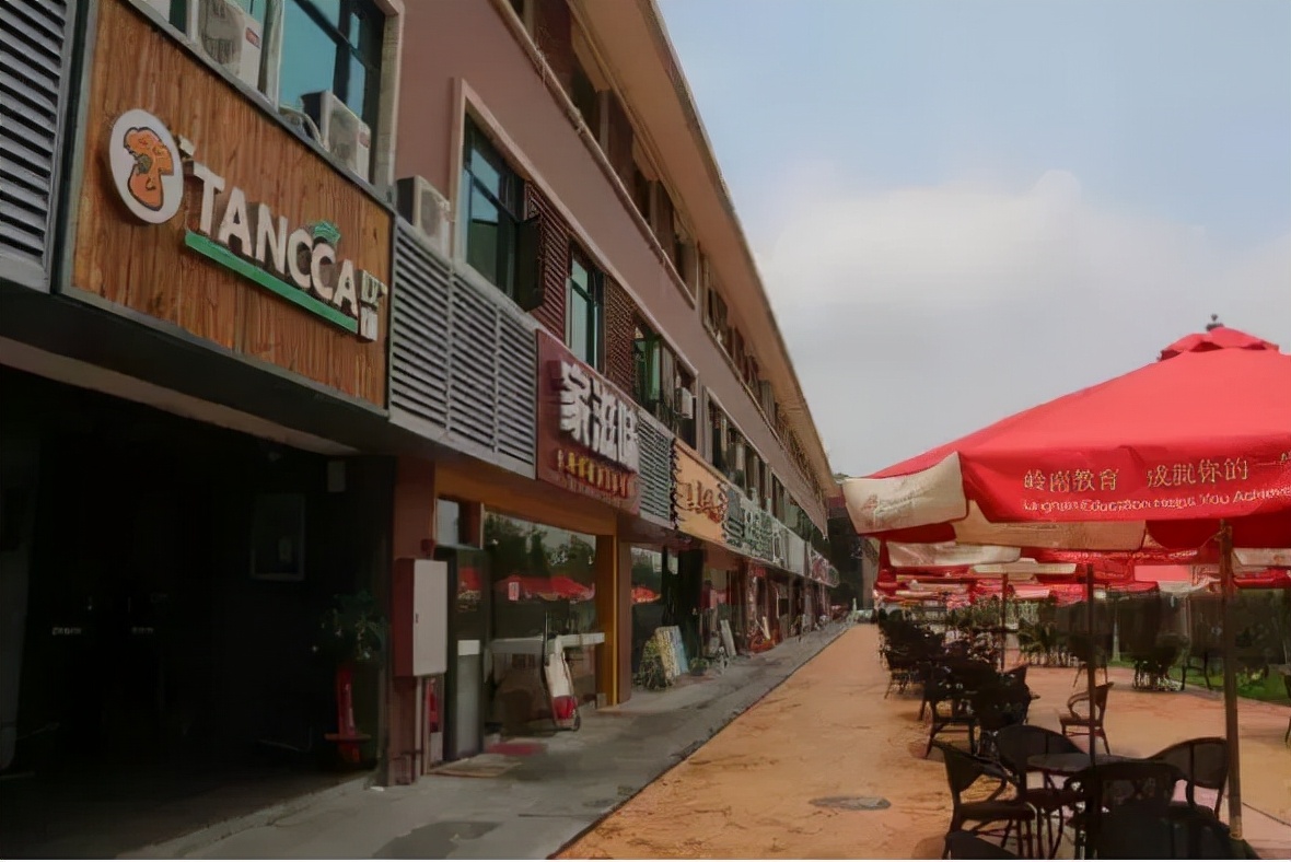 广东岭南职业技术学院上本科的人,广东岭南职业学院读成人大专好吗