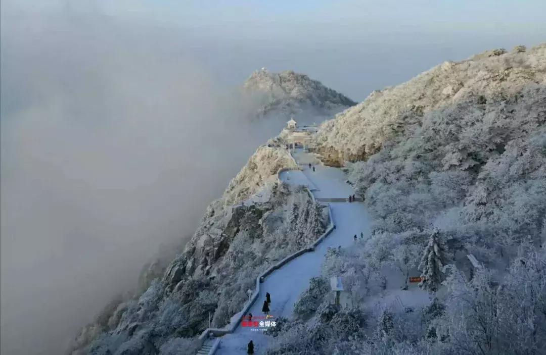 此刻泰山成了雪国,美到无言!高清美图来袭,“雪国的列车”即刻发车!