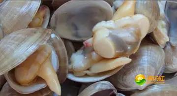 舟山4月份海鲜攻略,舟山海鲜代加工攻略