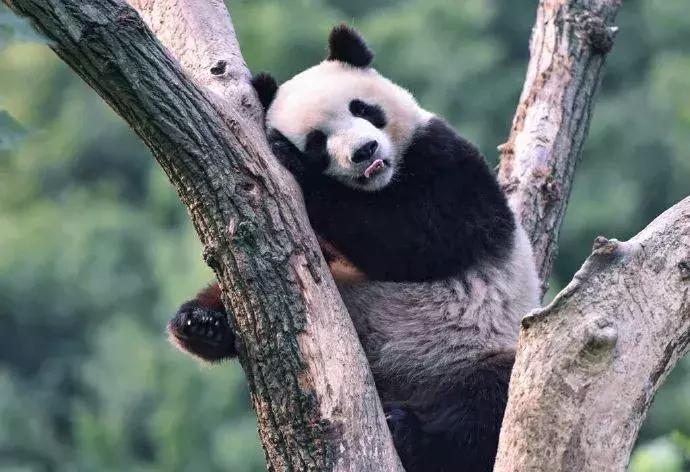 中国最闲适的城市,中国最悠闲城市