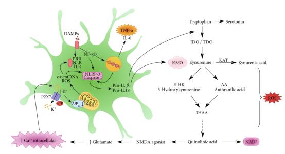 抑郁生物标志物,重度抑郁症患者神经元
