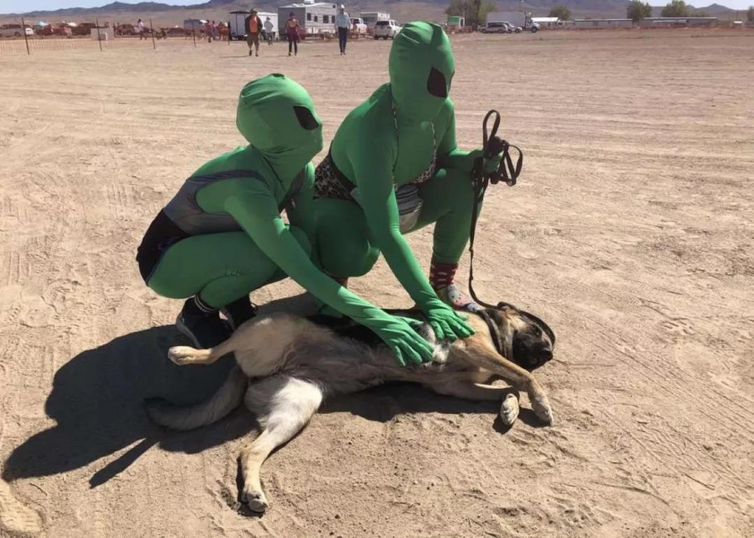 璋锋瓕绁炲琛楁櫙,鐢ㄨ胺姝岃鏅潵鎺㈢储涓栫晫