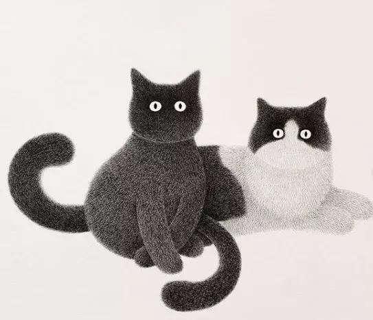 她用2元针管笔作画便惊艳了世界,他用粉笔画了一只猫