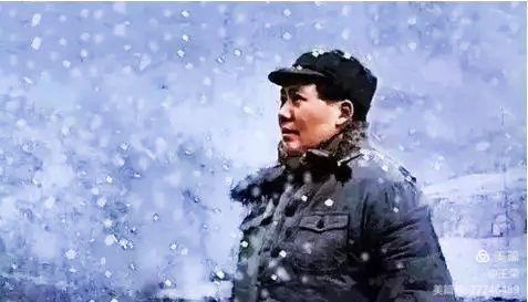 *园春沁**·雪毛*东泽**