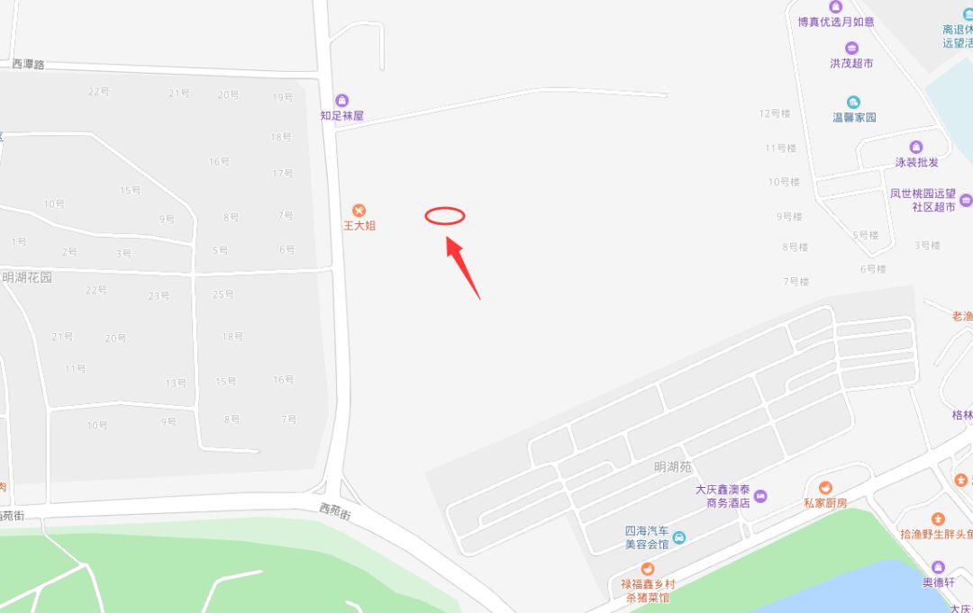 大庆明湖花园便民市场,大庆龙凤区是否建便民市场