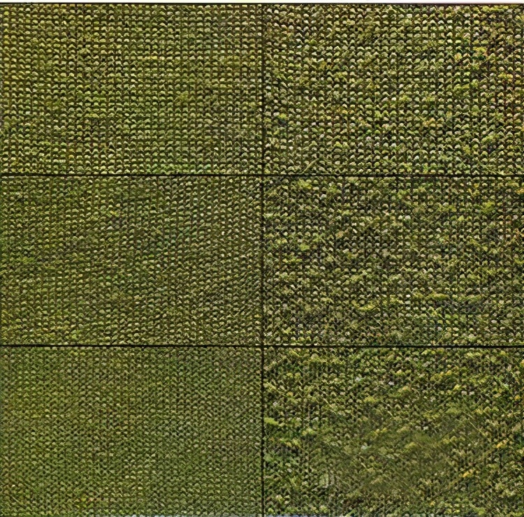 为啥我买的羊绒会起球,为什么我买的羊绒衫薄透