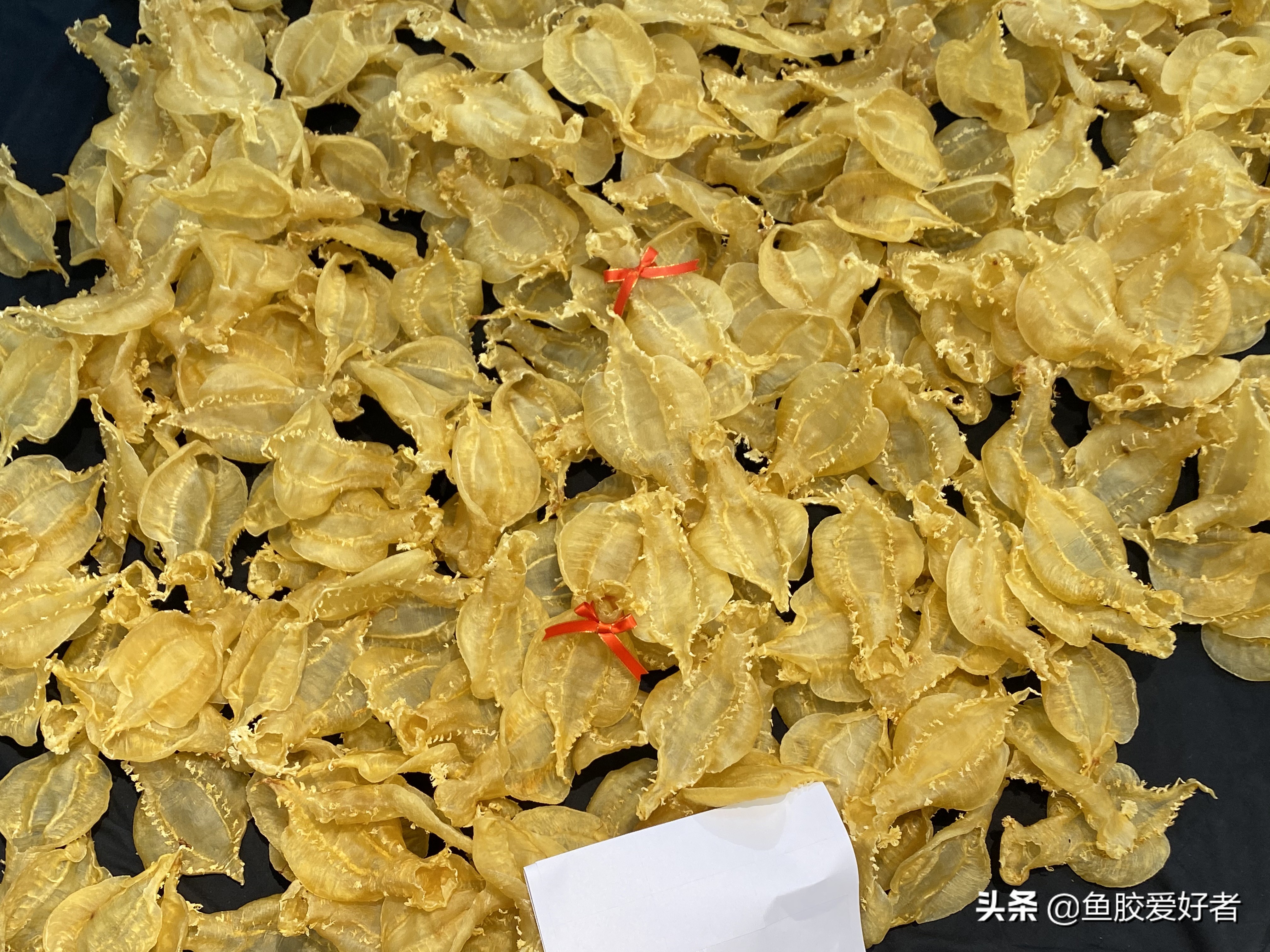 新手买鱼胶买什么好,网上买鱼胶要注意什么