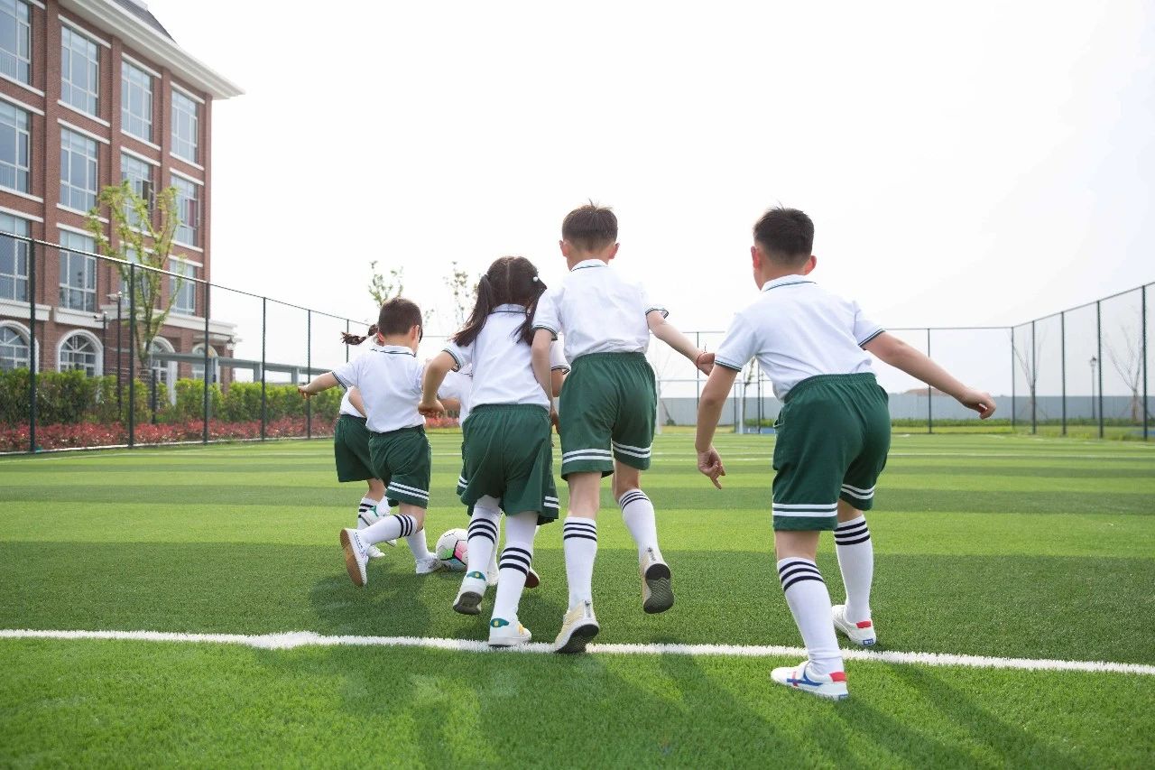 南京外国语学校排行,南京最隐秘的一所大学