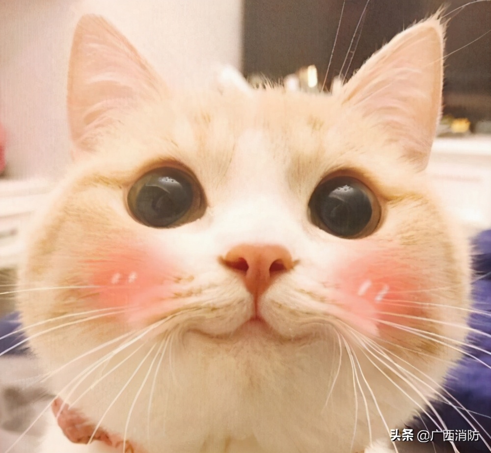 男子穿睡衣加油起火,俩名男子身上着火