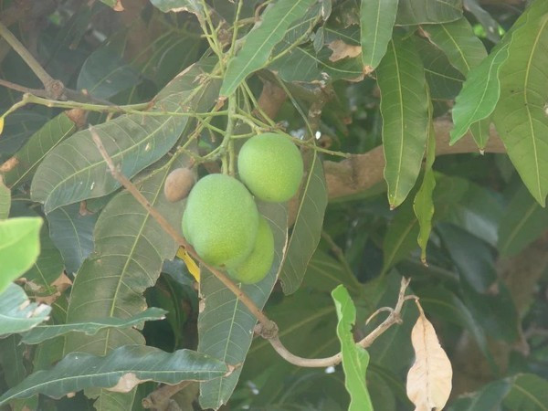 一个人在海边玩一天,一个人在海边怎么玩