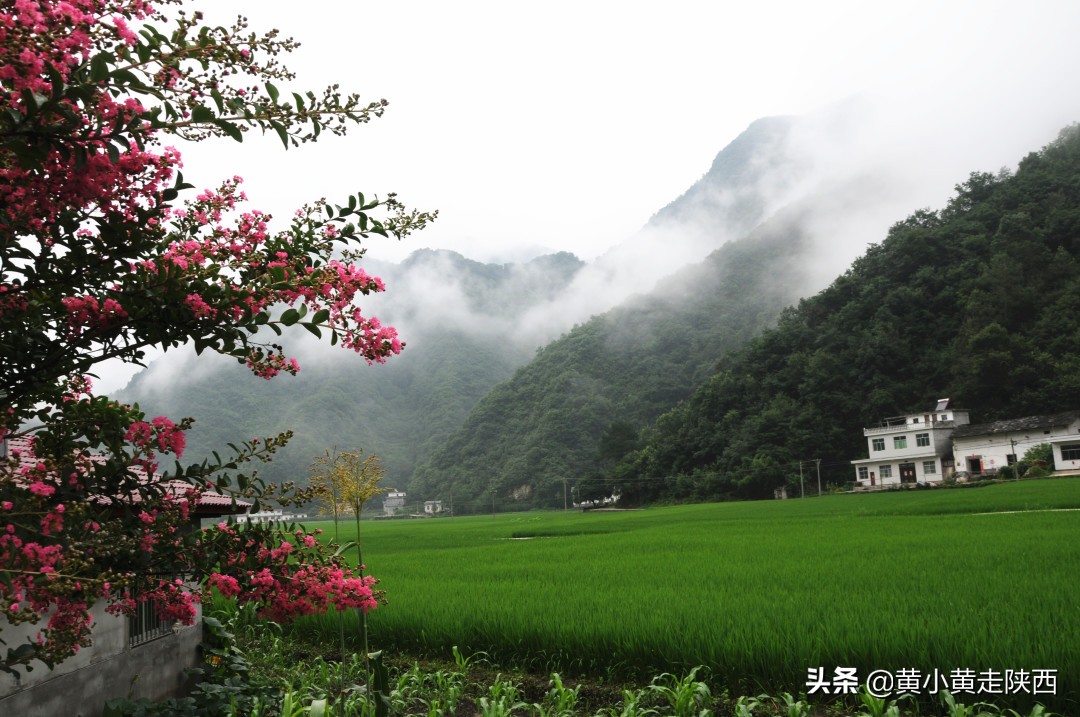 旬阳哪个镇的经济最好,陕南第一市旬阳市全貌