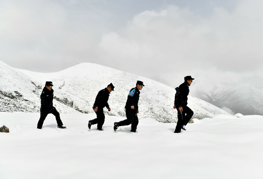 鐢樺瓬钘忓尯铏崏,鐢樺瓬搴峰畾铏崏鍗＋