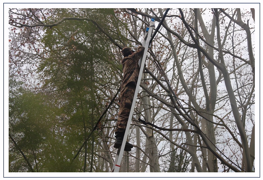 通信工程专业当兵可以当什么兵,九十年代的通信工程兵