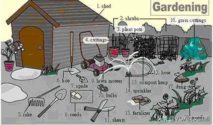 单词有趣记忆地图,100个日常单词速记