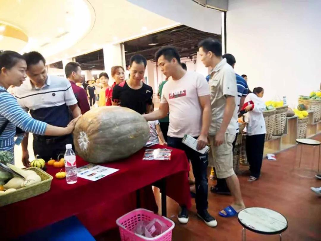 中农富玉大事记,中农富玉未来发展趋势