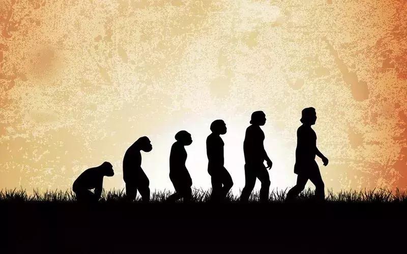 孕期屁股痛怎么运动,孕期腰痛带着屁股痛