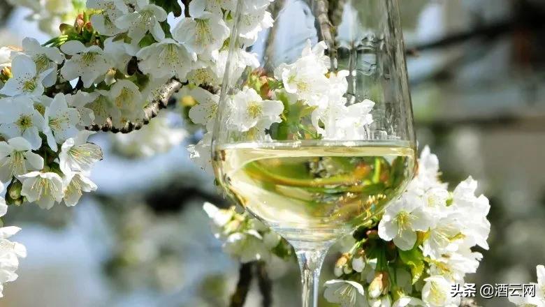 第一次见面喝什么葡萄酒最好,情侣间必备的葡萄酒