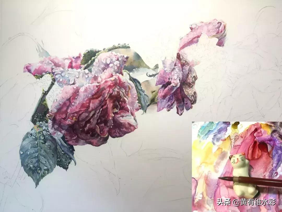 小清新水彩画玫瑰花,水彩画雨中玫瑰