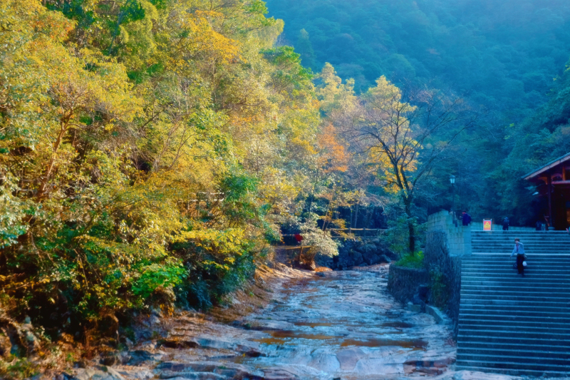 温州文成自驾游攻略最佳路线推荐,温州旅游攻略泰顺路线推荐