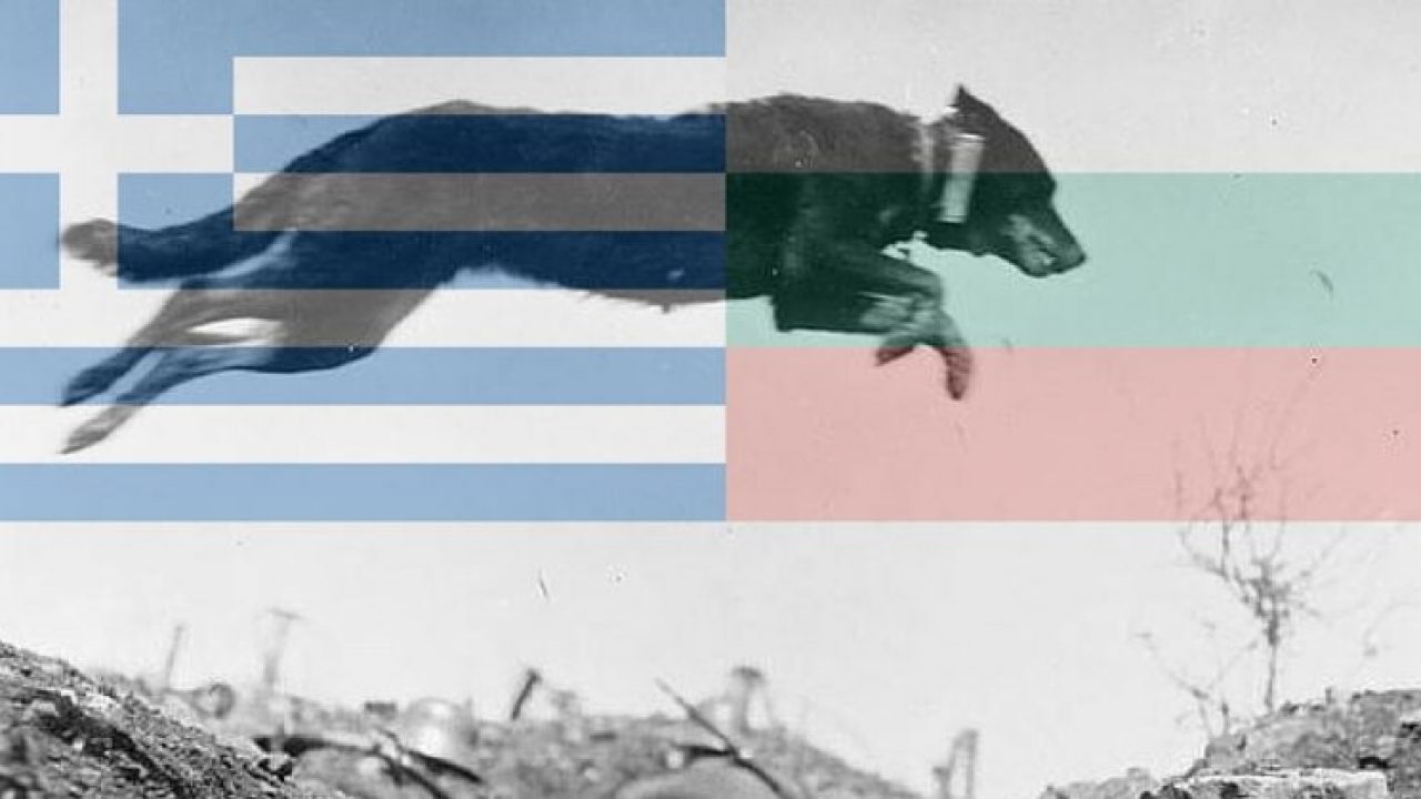 从古至今十大最惨烈的战争,因为一桶糖引发的战争