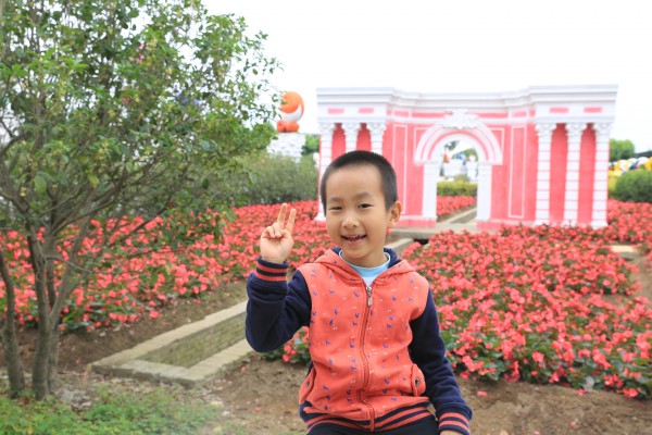 森林花海亲子游攻略,森林公园亲子游推荐