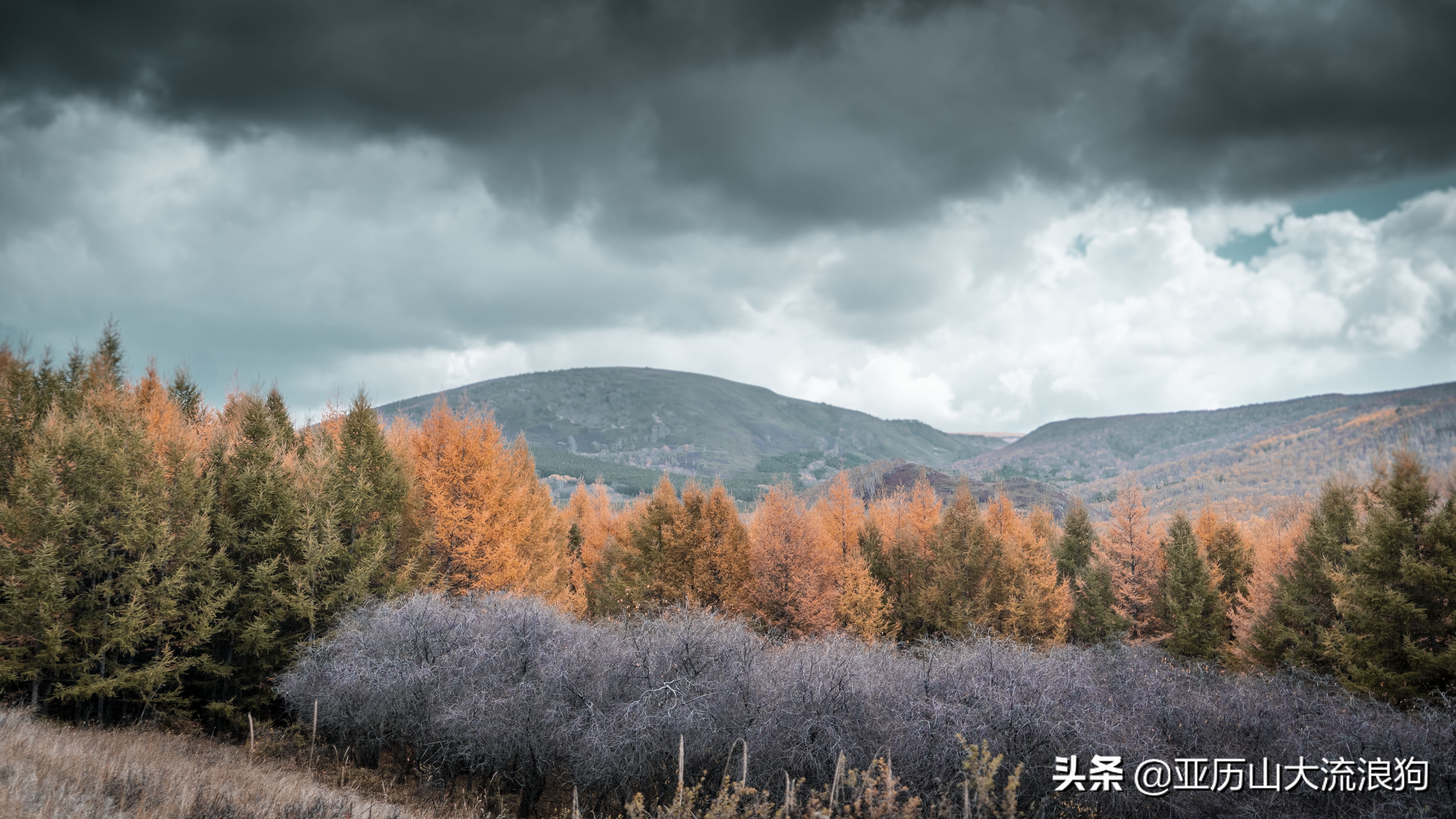 你那秋天来了吗？我这反正颜料泼了一地——内蒙古黄岗梁穿越之旅