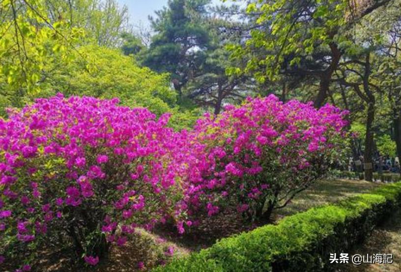 带你走进真实的朝鲜平壤：可能和想象中不太一样