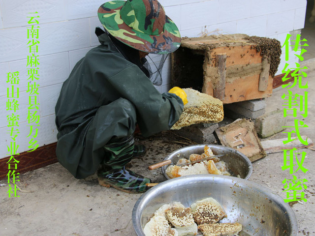蜂蜜不加工可以直接吃吗,蜂蜜加工成熟方法