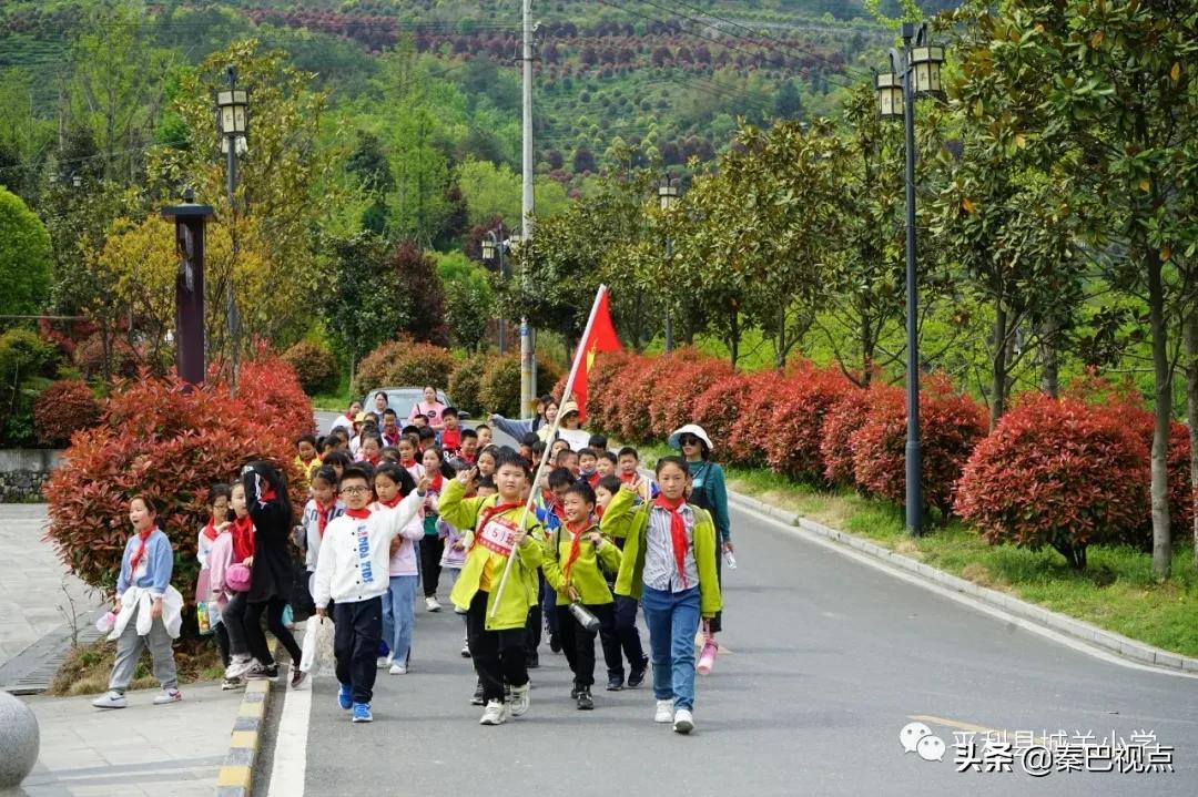 期末班级户外实践活动小学,平岚小学户外拓展研学活动