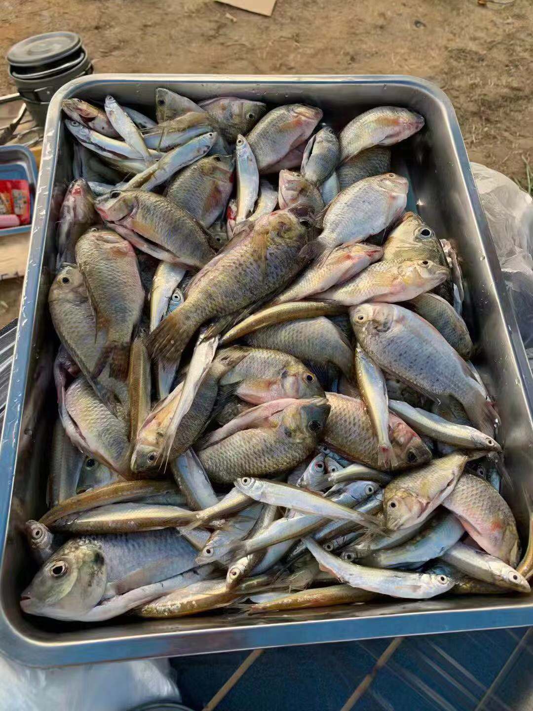 深圳周边郊外森林自驾游路线,深圳自驾一日游海边露营景点推荐