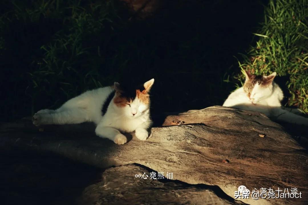 北海公园金丝楠木殿,北海公园西天梵境