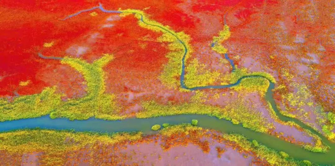 山东东营位置,这就是东营