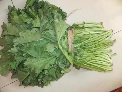 新鲜紫红色雪里蕻怎么做好吃,雪里蕻脆嫩爽口