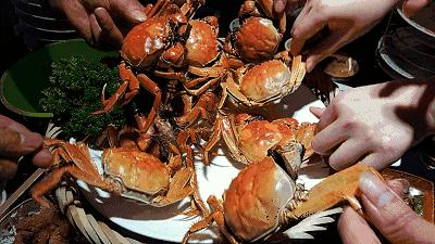 天冷了螃蟹也肥了,螃蟹肥了的视频