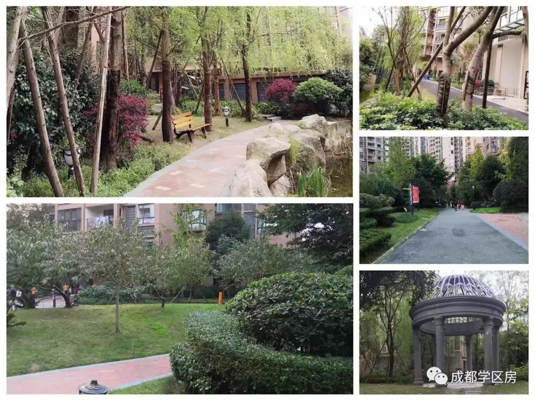 天府新区第五小学排名,天府新区a区学区房