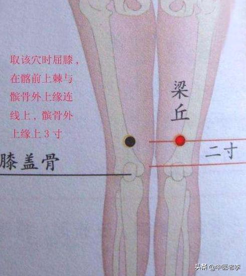 人体穴位图每个穴位都可以干什么,人体穴位图及每个穴位作用