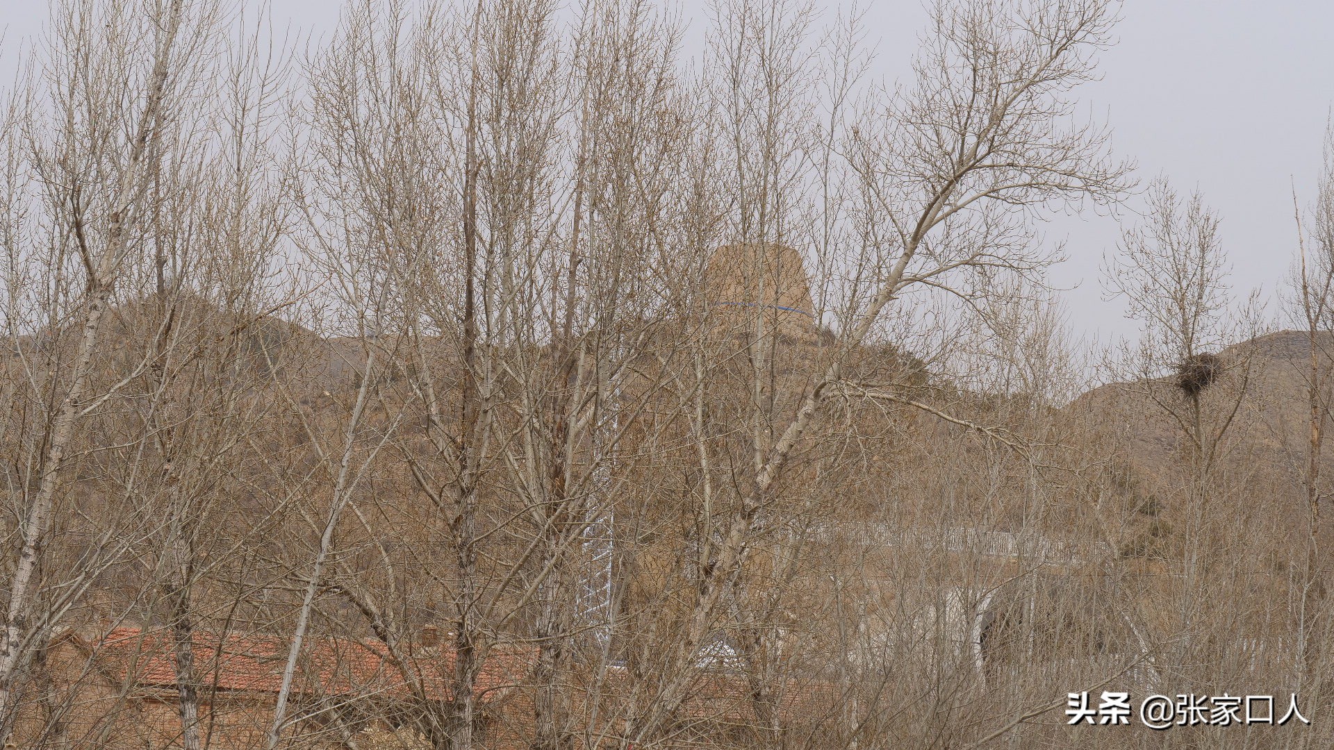 张家口各个县特色美食,张家口各县区的特色美食