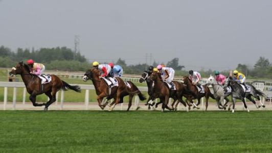 温江金马板块房子值得买吗,温江区金马镇房价走势