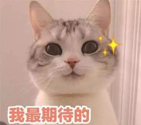 成都最美的街道名单,成都市最美街道