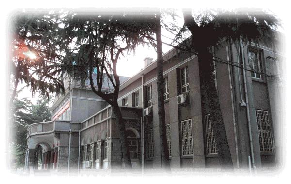 一座来了就不想走的城市泉州,一座来了不想走的城市纪录片