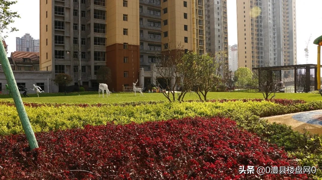 澧县格林小镇全新装修3房2厅,澧县格林小镇边户设计图