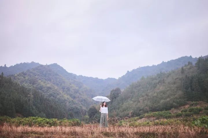 她31岁放弃北漂,回归自然,用枯枝败叶,打造了一个梦幻森林