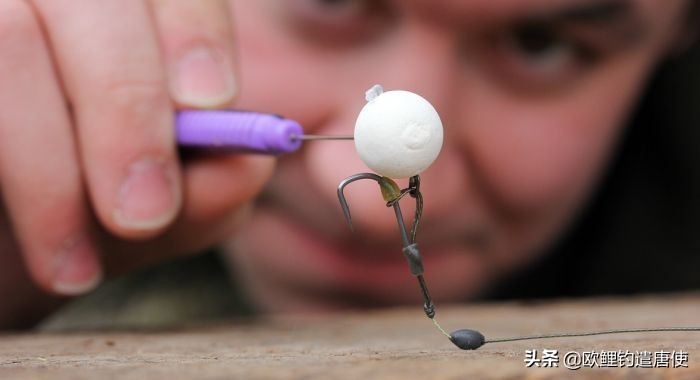 为什么鲤鱼比鲫鱼难钓,为什么鲫鱼这么难咬钩