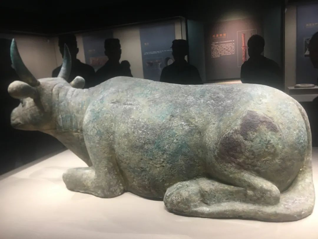 银川附近有啥不要门票的景点吗,银川必去的五大景点的门票