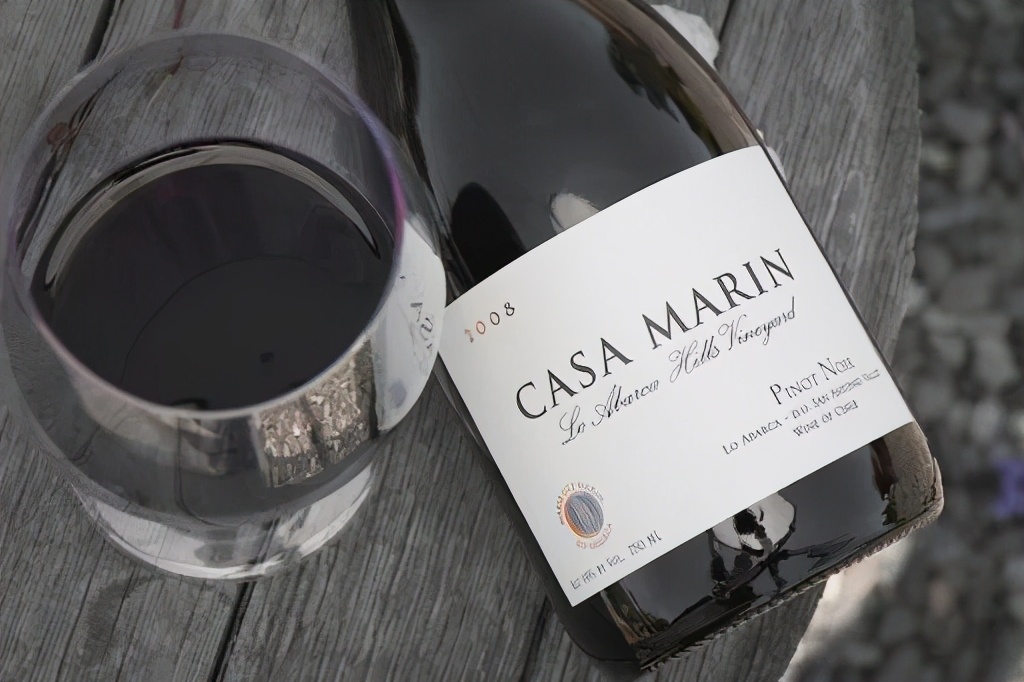 勃艮第黑皮诺好喝吗,勃艮第最顶级黑皮诺多少钱一瓶