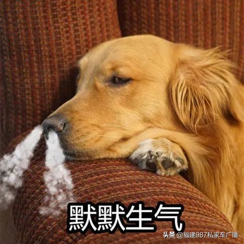 被撞离开只算逃逸不属于肇事,交通肇事送医后逃走算逃逸吗