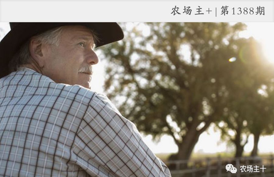 管理农场,或许你还少点火候